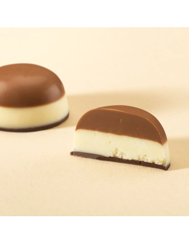 Tiramisu Chocolates