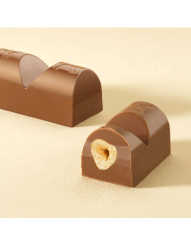 Milk Chocolate Hazelnut Ingot Bulk